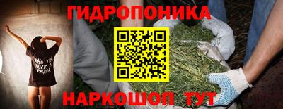 ECSTASY Славгород
