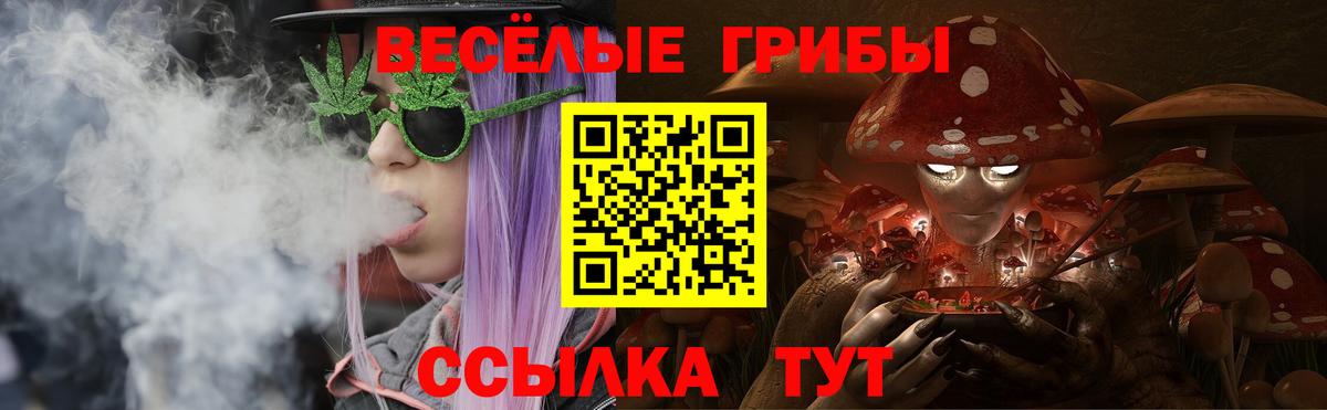 Галлюциногенные грибы Cubensis  Вход с VPN  Серпухов  Галлюциногенные грибы Psilocybe 